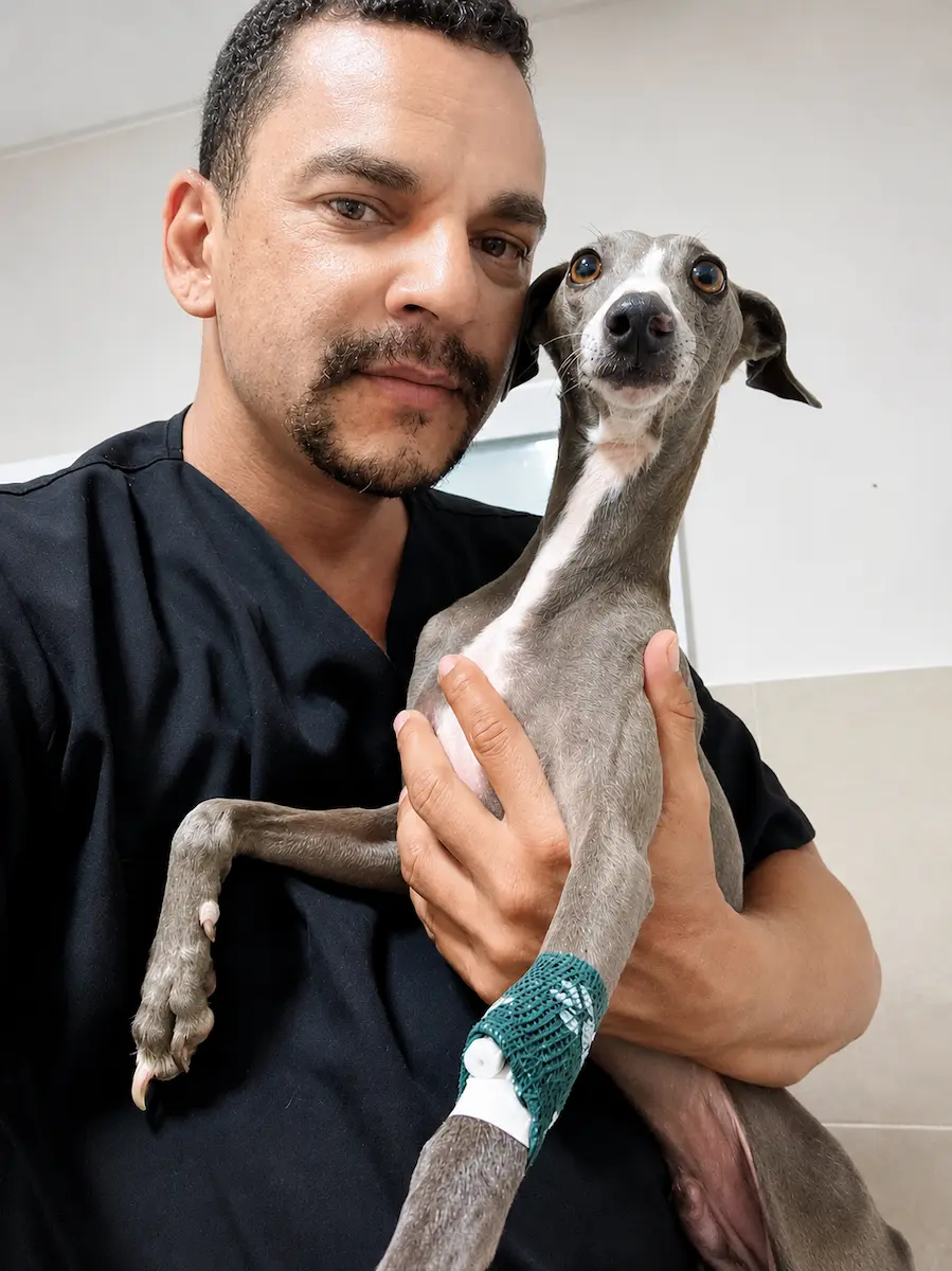 homem e cachorro em ambiente veterinário